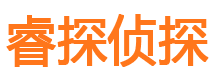 江洲市私家侦探